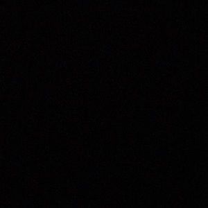 Meet your Posher, Abigail